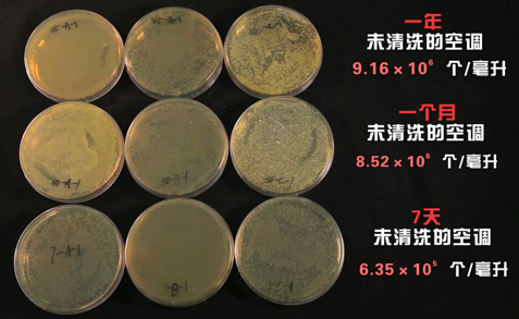 高溫來襲 警惕空調(diào)散熱片暗藏細菌